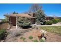 Brick ranch-style home featuring well-kept landscaping and healthy trees at 6305 Yukon St, Arvada, CO 80004
