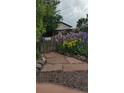 Landscaped front yard with beautiful purple, yellow and white irises along the walkway at 6000 W 29Th Ave, Denver, CO 80214
