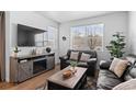 Cozy living room with stylish sofas, a modern entertainment center, and natural light from large windows at 9719 Albion Ln, Thornton, CO 80229