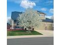 Charming two-story home with a manicured lawn and flowering tree in bloom at 7378 Geode Ct, Castle Rock, CO 80108
