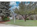 Brick house with landscaped front yard and mature tree providing shade and curb appeal at 4391 W Tufts Ave, Denver, CO 80236