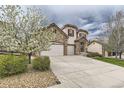 Charming two-story home with stone accents, red shutters, three-car garage, and well-manicured lawn at 10776 Hillsboro Cir, Parker, CO 80134