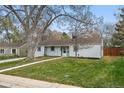 Cozy home on a grassy lot with mature trees and landscaping at 3342 S Flamingo Way, Denver, CO 80222