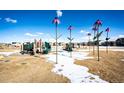 Community playground with playset, slides, and unique flower sculptures at 24505 E Ada Pl, Aurora, CO 80018