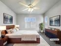 Comfortable, staged bedroom with ample natural light, ceiling fan, and modern decor at 10674 Cherrington St, Highlands Ranch, CO 80126