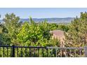 Beautiful backyard landscape featuring lush trees, a fence, and a mountain view in the background at 2587 S Harlan Ct, Lakewood, CO 80227