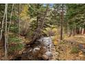 Scenic creek view flowing through wooded area at 2971 Fall River Rd, Idaho Springs, CO 80452