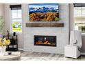 Cozy living room features a modern fireplace, large TV, and bright natural light at 3059 Morningbird Ln, Castle Rock, CO 80109