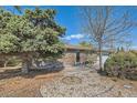 A cozy brick home with lush evergreen trees, xeriscaped yard, and a welcoming front entrance at 125 S Fulton Ave, Fort Lupton, CO 80621