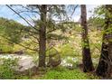 Scenic view of a lush landscape featuring a rushing stream and unique, rustic birdhouse at 35106 Boulder Canyon Dr, Boulder, CO 80302