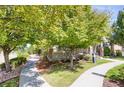 Landscaped front yard with mature tree, sidewalk and lush green grass at 8835 Edinburgh Cir, Highlands Ranch, CO 80129