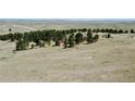 Panoramic aerial view of a property showcasing rolling green hills, scattered trees, and multiple homes at 1740 Michael Gates Dr, Parker, CO 80138