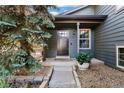 Inviting front entrance with a dark wood door, stone steps, and well maintained landscaping at 517 Chiswick Cir, Highlands Ranch, CO 80126
