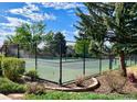 Community Tennis court is surrounded by lovely landscaping and greenery with a secure fenced perimeter at 11056 W Rowland Ave, Littleton, CO 80127