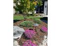 Close-up of the lush landscaping featuring colorful pink flowers, mulch, rocks, and outdoor lighting at 6610 Barnstead Dr, Castle Pines, CO 80108