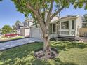 View of a well-maintained two-story home with a manicured front lawn and attached garage with a large tree at 17014 Carr Ave, Parker, CO 80134