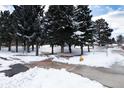 Winter scene in the park, featuring snow-covered evergreen trees, benches, and walkways at 1312 Independence St # 3, Lakewood, CO 80215