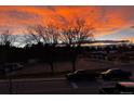 Stunning sunrise view over the neighborhood with trees and trucks in the street below at 1312 Independence St # 3, Lakewood, CO 80215