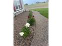 Landscaped front yard with colorful peonies lining a gravel walkway leading to the house at 196 W 8Th Ave, Byers, CO 80103