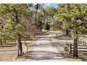 Long private driveway framed by mature trees leading to the property at 12493 Forest Canyon Dr, Parker, CO 80138