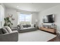 Bright living room with large windows, hardwood floors, modern furnishings, and a neutral color palette at 17548 Bluetrail Ave, Parker, CO 80134