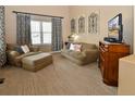 Cozy living room includes comfortable seating, neutral carpeting, and a flat-screen television at 1168 Coneflower Way, Brighton, CO 80601