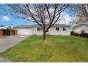 Inviting single-story home featuring a lush green lawn and a mature tree in the front yard at 13388 Alcott Cir, Broomfield, CO 80020
