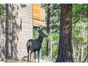 Exterior view of the home in a natural setting with a deer in the yard at 1065 Independence Dr, Larkspur, CO 80118