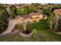 Expansive property boasts mature trees, sprawling lawn, and stunning home with outdoor patio at 3502 Birch Ave, Parker, CO 80134