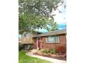 Charming brick home featuring a red front door, well-maintained landscaping, and mature trees at 6664 Gray St, Arvada, CO 80003