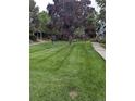 Spacious and well-manicured front lawn offering a serene and inviting outdoor space at 9060 E Cherry Creek South Dr # E, Denver, CO 80231
