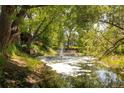 Scenic backyard pond with a fountain and lush greenery around the edges at 3935 Pierson St, Wheat Ridge, CO 80033