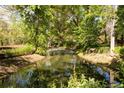 Peaceful pond surrounded by mature trees and lush vegetation at 3935 Pierson St, Wheat Ridge, CO 80033