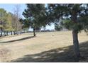 Expansive backyard featuring mature trees and green space perfect for outdoor activities at 306 Empire St, Aurora, CO 80010