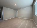 Large bedroom with neutral carpet, good natural light, and an attached closet at 48285 Shetland Dr, Bennett, CO 80102
