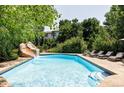 Gorgeous backyard pool with a slide, lounge chairs, and privacy landscaping at 9311 E Star Hill Trl, Lone Tree, CO 80124