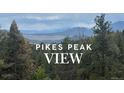 Scenic view of Pikes Peak mountains and lush greenery, highlighting the home's beautiful natural surroundings at 29266 S Sunset Trl, Conifer, CO 80433