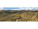 Scenic aerial view of home on a sprawling lot, surrounded by trees and natural beauty, with a long driveway at 97 Hedges Cir, Sedalia, CO 80135