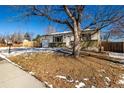 Front yard view of house with mature tree and snow at 1502 S Queen St, Denver, CO 80232