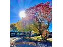Traditional single-story home with mature trees and a well-maintained front yard under a sunny sky at 1315 Tipperary St, Boulder, CO 80303