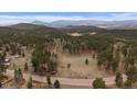 Expansive aerial view of a log cabin estate nestled within a lush green forest and rolling hills at 27888 Richmond Hill Rd, Conifer, CO 80433