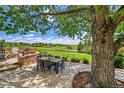 Outdoor patio with a stone fire pit, comfortable seating, mature shade trees, and scenic views of the surrounding landscape at 7818 S Zeno St, Centennial, CO 80016