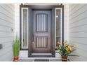 Dark brown front door with sidelights and potted plants at 6829 Juniper Ct, Frederick, CO 80530