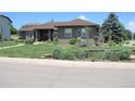 Landscaped front yard features a retaining wall with flowering plants and mature trees for added curb appeal at 7170 Windwood Way, Parker, CO 80134