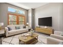 Cozy living room featuring a comfortable sofa, modern decor, and large windows at 1484 Nemrick Pl, Castle Rock, CO 80109