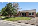 Beautiful brick home featuring a well-kept front yard and rock garden, complemented by a lush tree at 160 Northglenn Dr, Northglenn, CO 80233