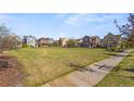 Picturesque neighborhood view showcasing a large communal green space surrounded by colorful homes at 3529 Xanthia Ct, Denver, CO 80238
