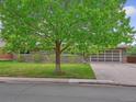 Charming ranch-style home with a mature tree, lawn, and paved driveway at 423 Empire St, Aurora, CO 80010