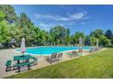 Community pool surrounded by lounge chairs and lush greenery on a bright, sunny day at 5050 W 102Nd Ave, Westminster, CO 80031