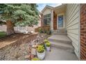 Inviting home entrance with steps leading to the front door, potted plants, and a mature tree nearby at 7072 Palisade Dr, Highlands Ranch, CO 80130